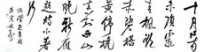 ʫ